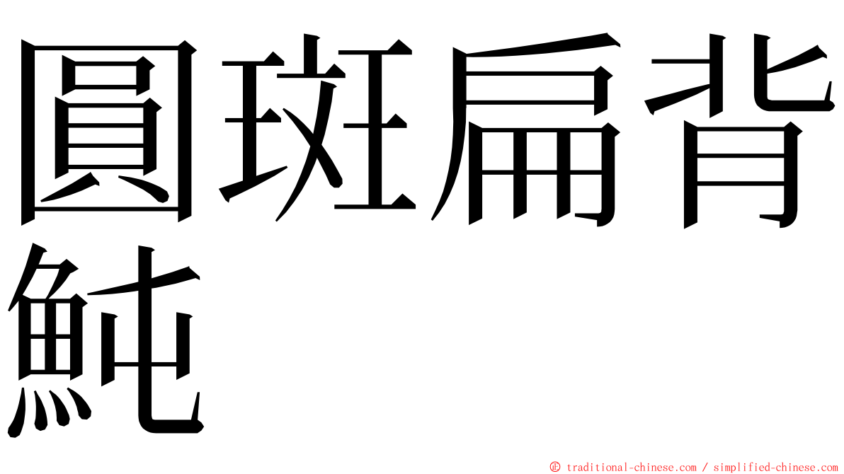 圓斑扁背魨 ming font