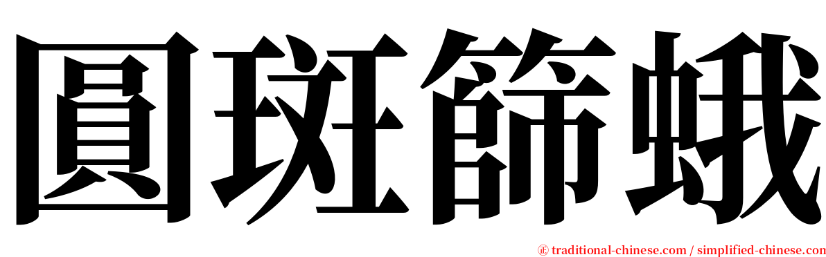 圓斑篩蛾 serif font