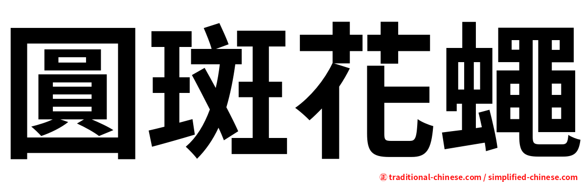 圓斑花蠅