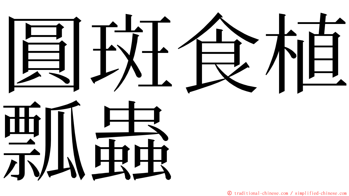 圓斑食植瓢蟲 ming font