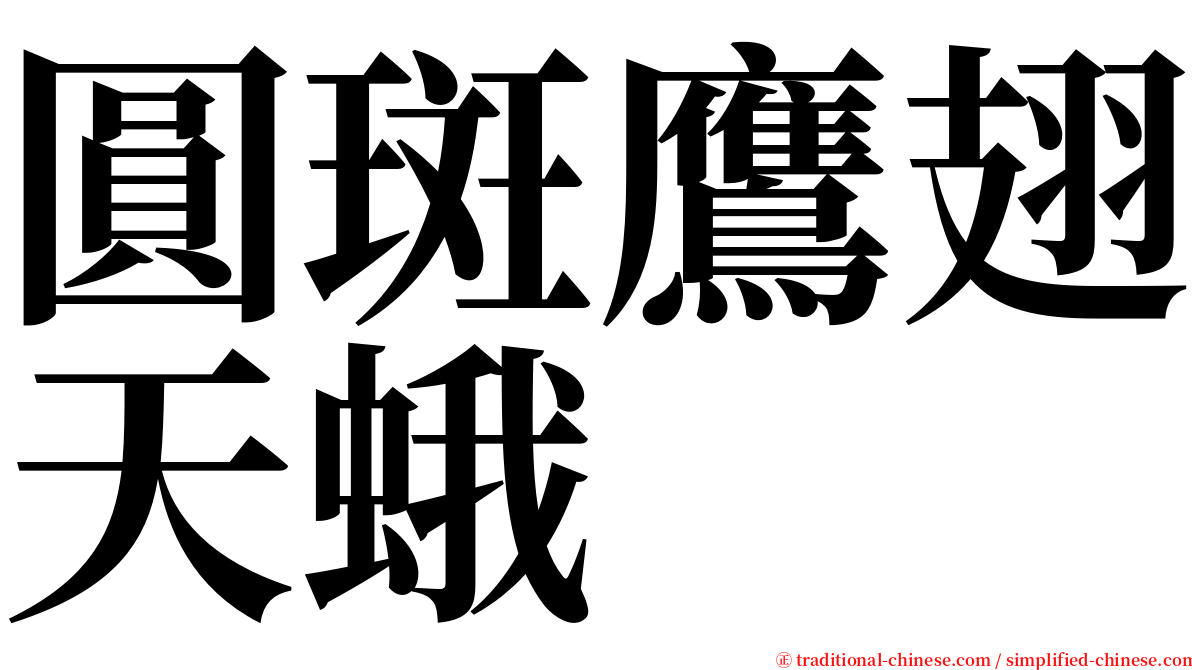 圓斑鷹翅天蛾 serif font