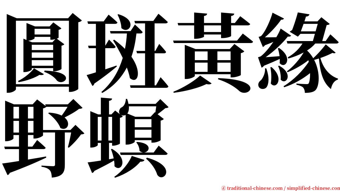 圓斑黃緣野螟 serif font