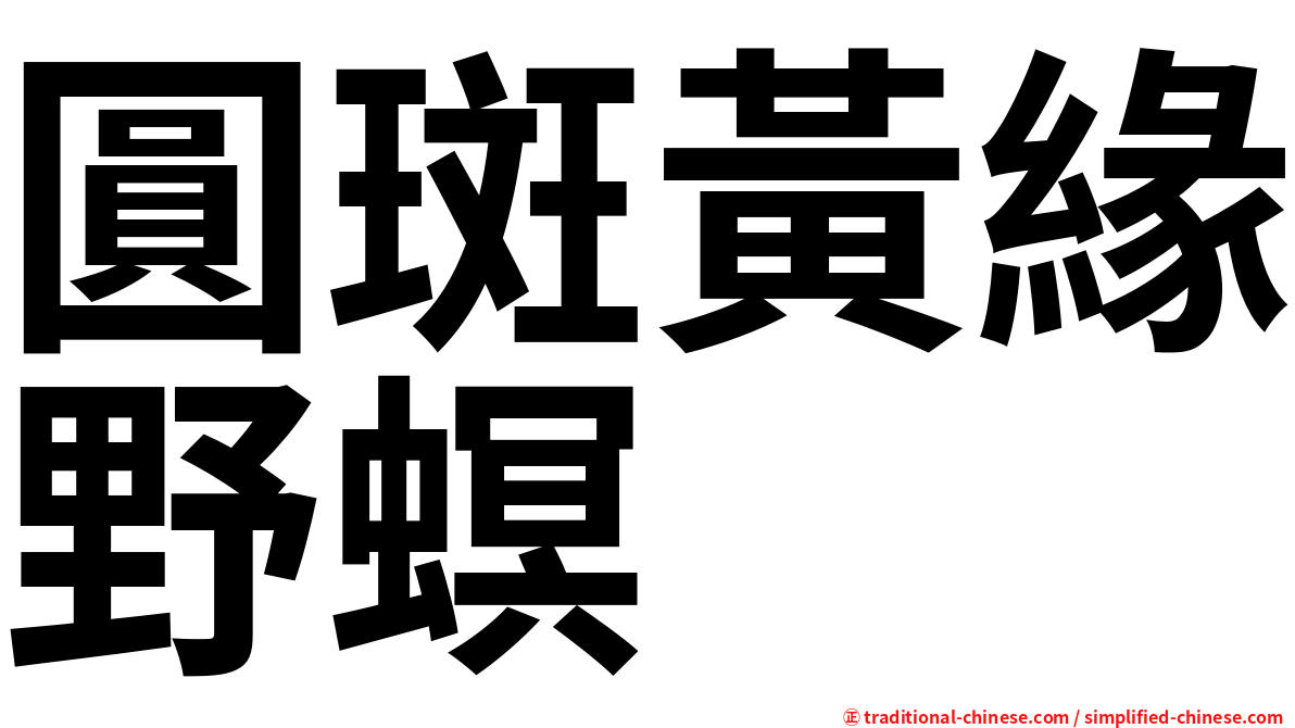 圓斑黃緣野螟