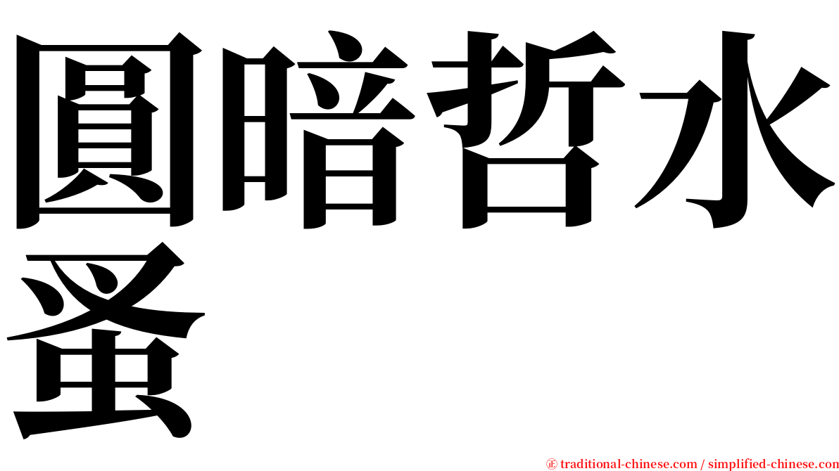 圓暗哲水蚤 serif font