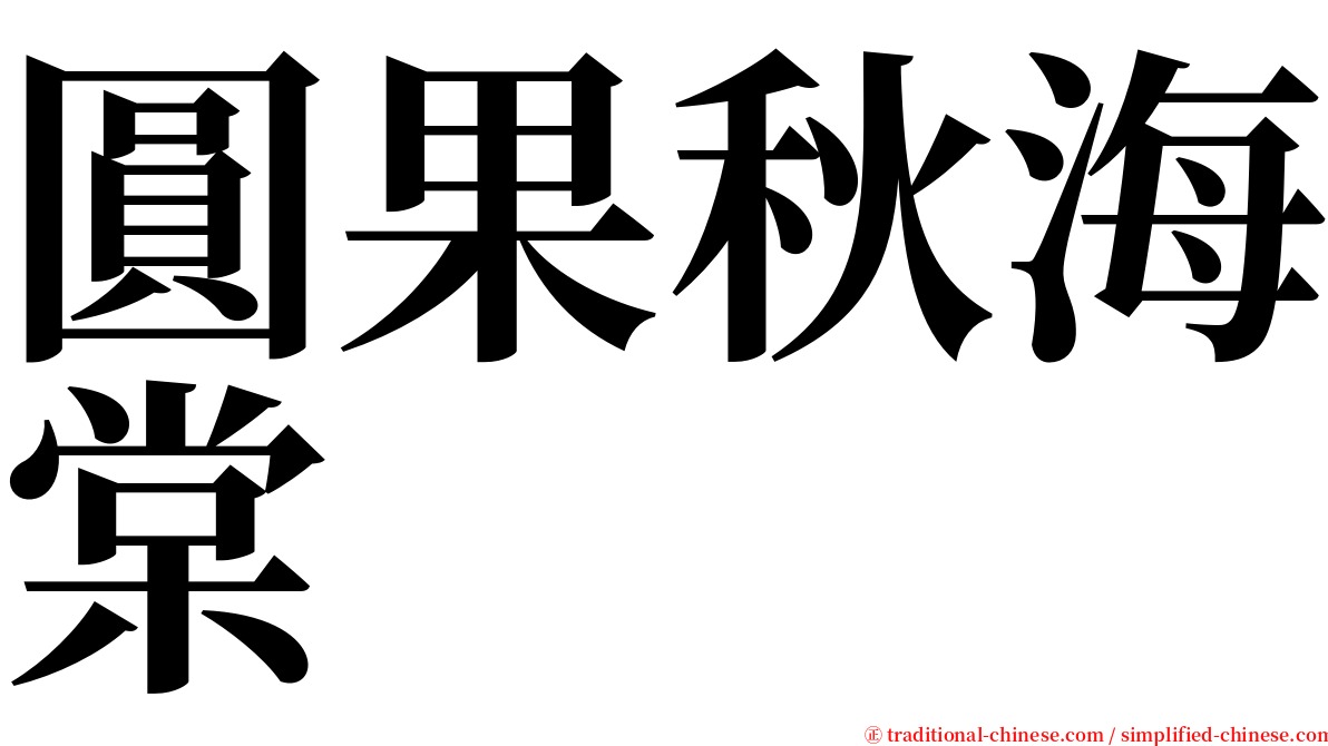 圓果秋海棠 serif font