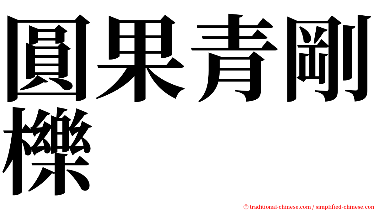 圓果青剛櫟 serif font