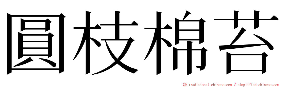 圓枝棉苔 ming font