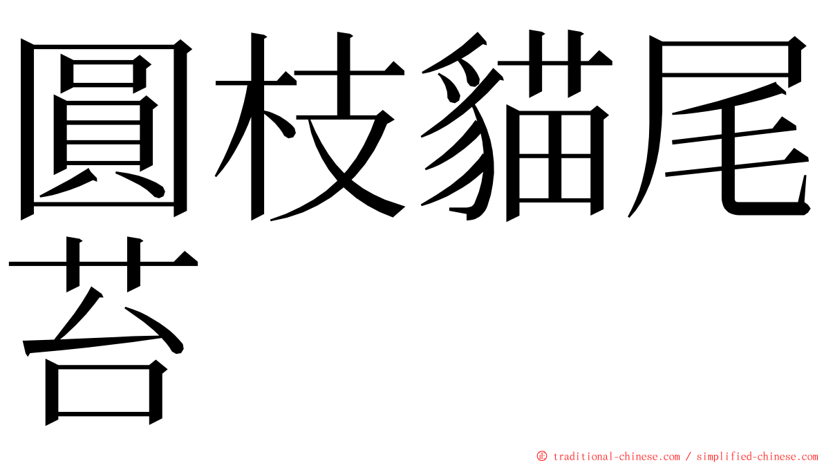 圓枝貓尾苔 ming font