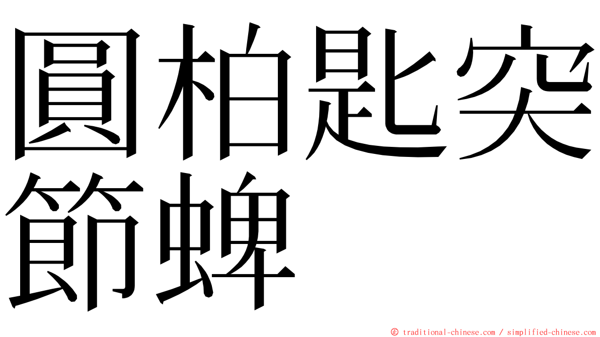 圓柏匙突節蜱 ming font