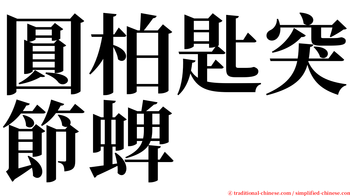 圓柏匙突節蜱 serif font