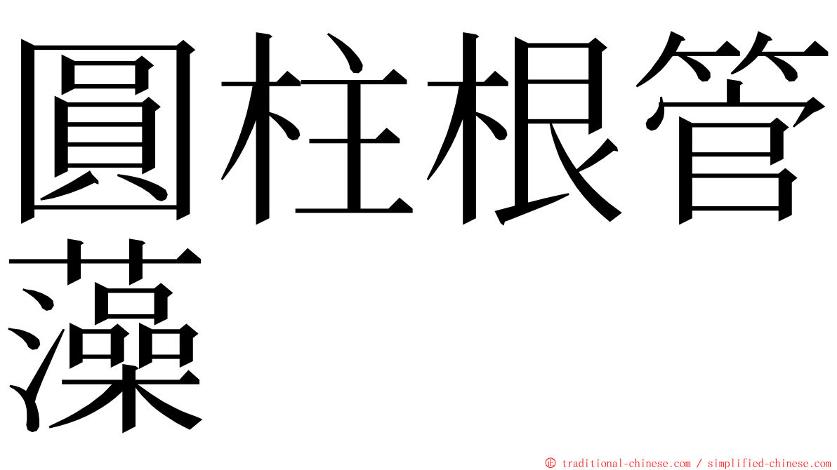 圓柱根管藻 ming font