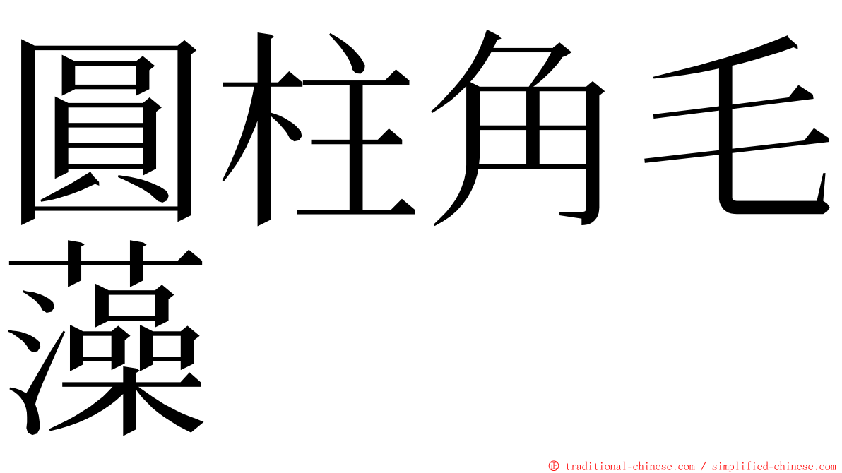 圓柱角毛藻 ming font