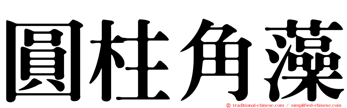 圓柱角藻