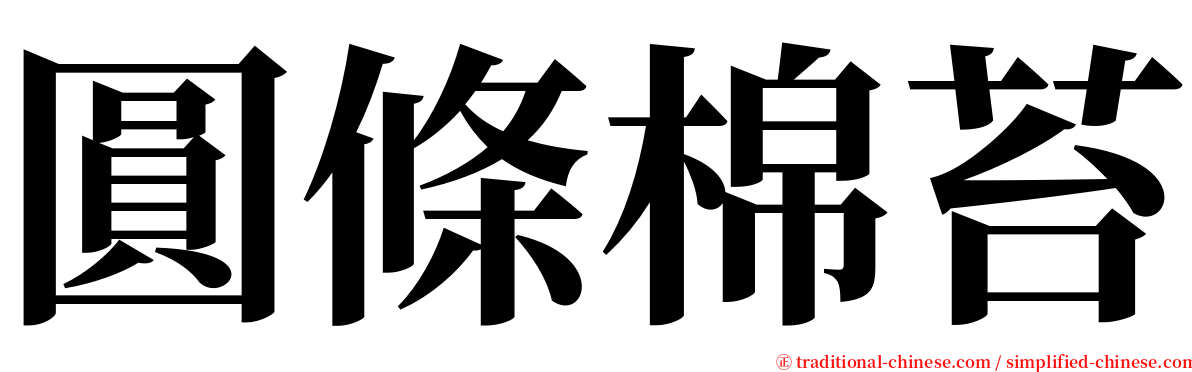 圓條棉苔 serif font