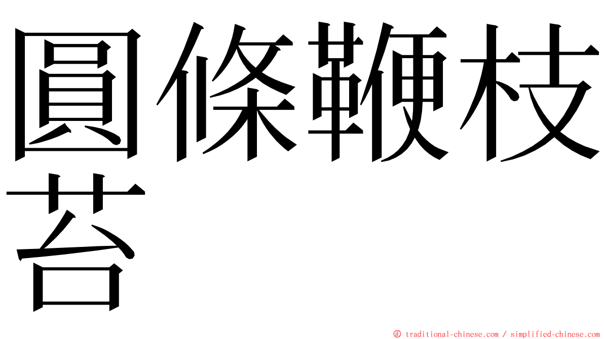 圓條鞭枝苔 ming font