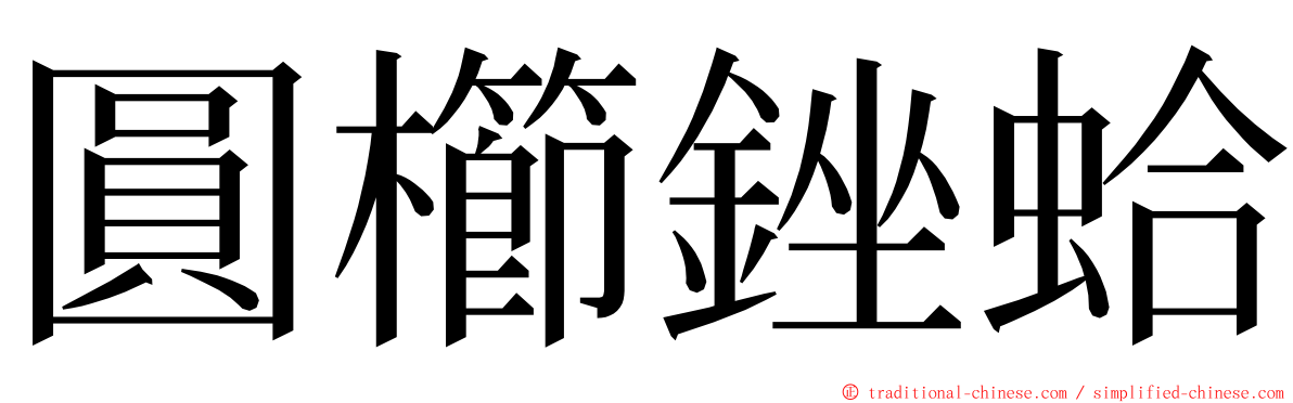 圓櫛銼蛤 ming font