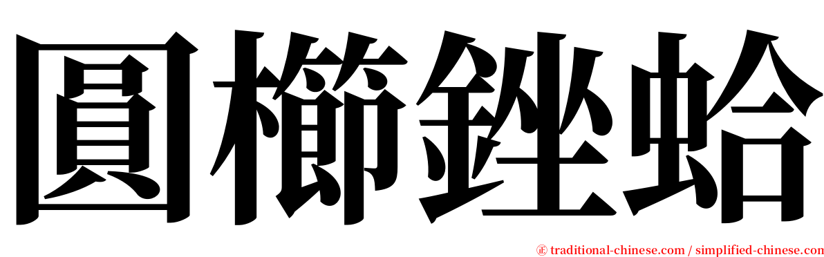 圓櫛銼蛤 serif font