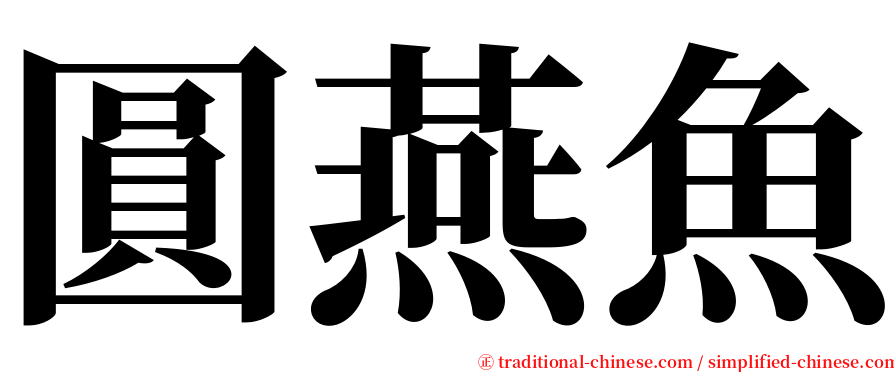 圓燕魚 serif font