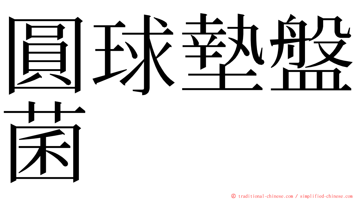 圓球墊盤菌 ming font