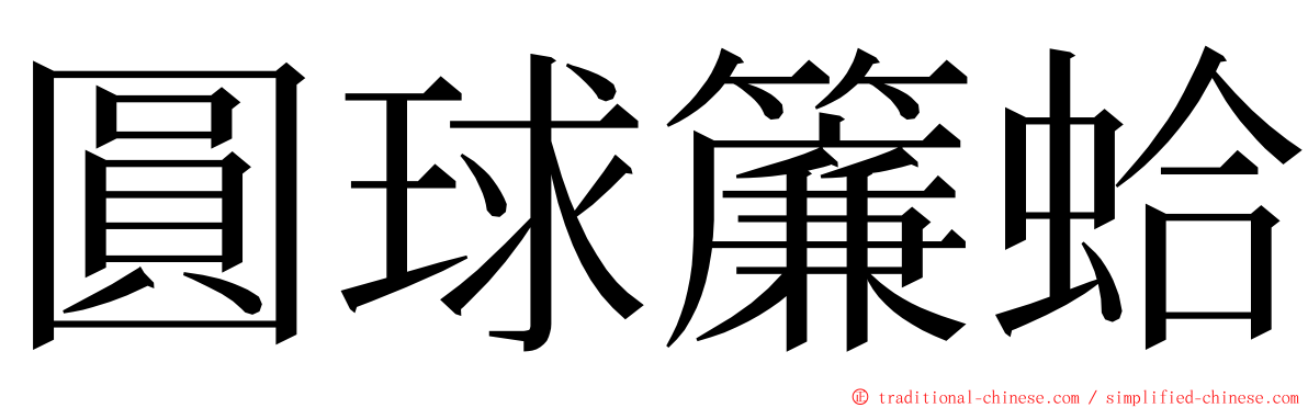 圓球簾蛤 ming font