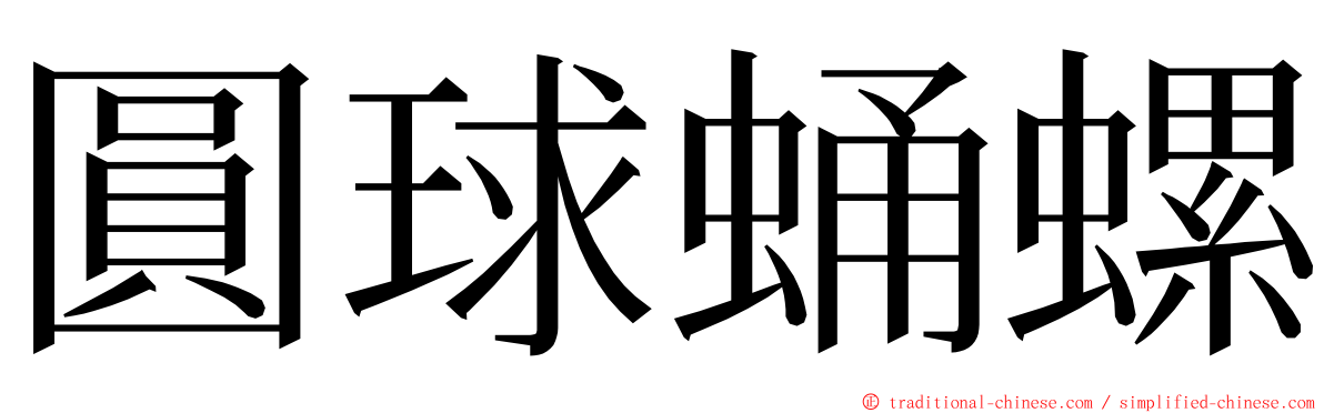 圓球蛹螺 ming font