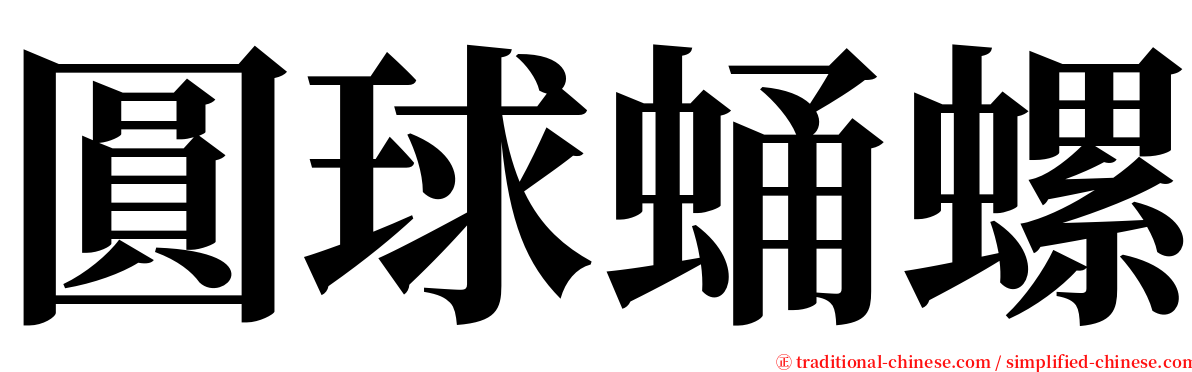 圓球蛹螺 serif font