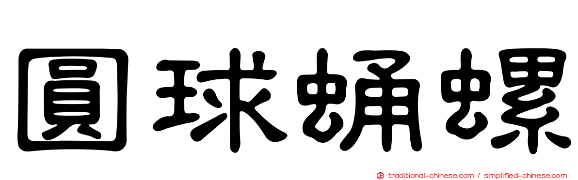 圓球蛹螺