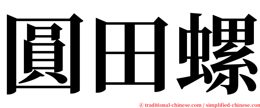 圓田螺 serif font