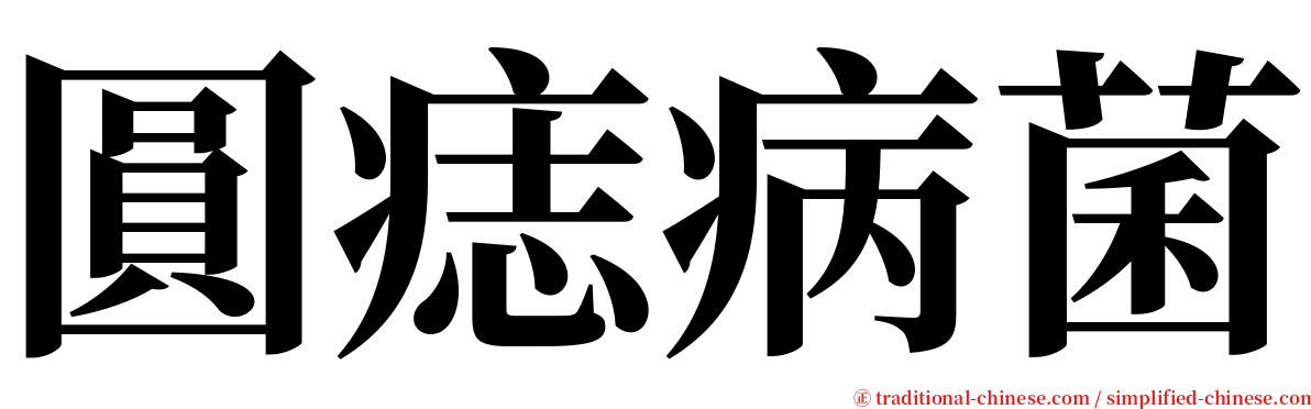 圓痣病菌 serif font