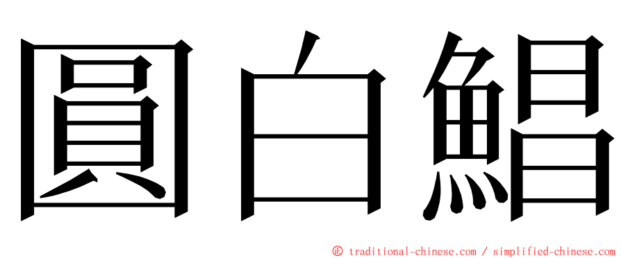 圓白鯧 ming font