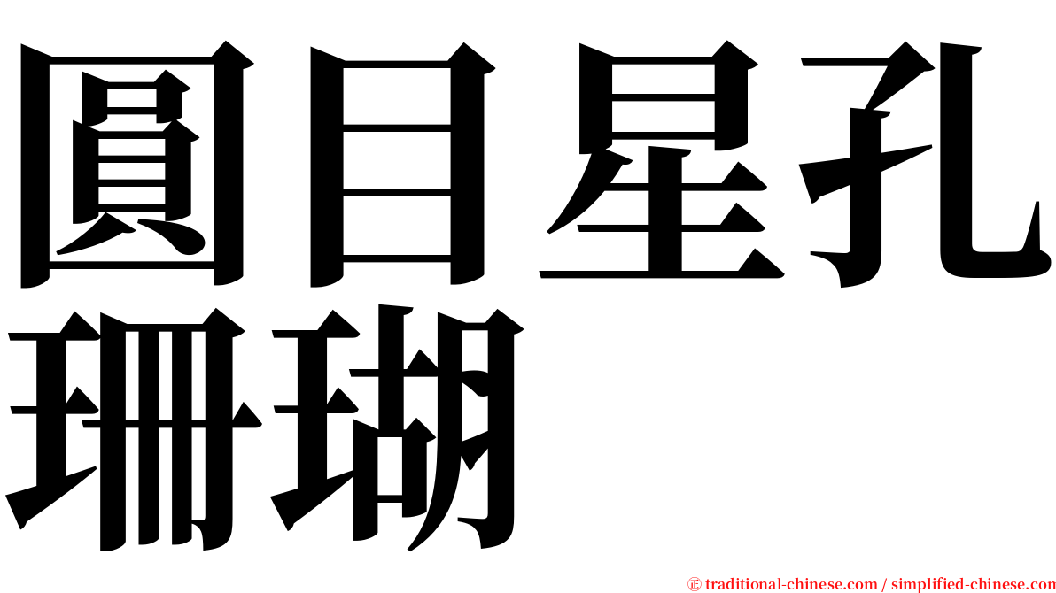 圓目星孔珊瑚 serif font