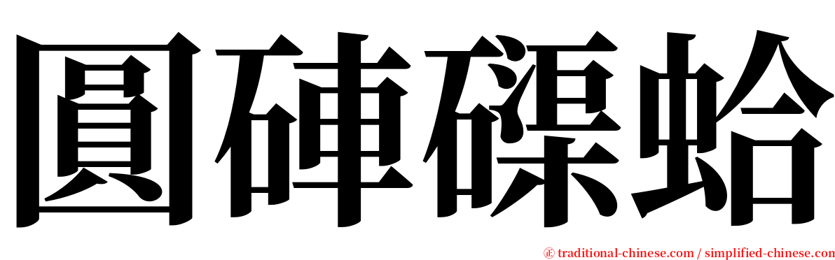 圓硨磲蛤 serif font