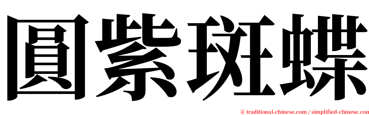 圓紫斑蝶 serif font