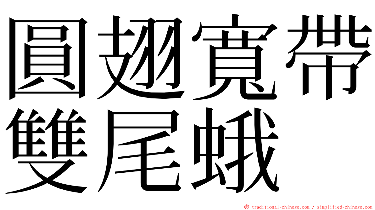 圓翅寬帶雙尾蛾 ming font