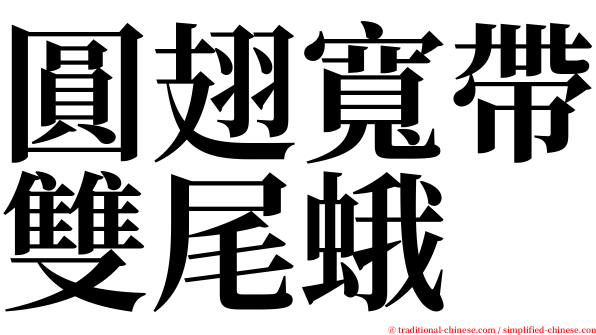 圓翅寬帶雙尾蛾 serif font