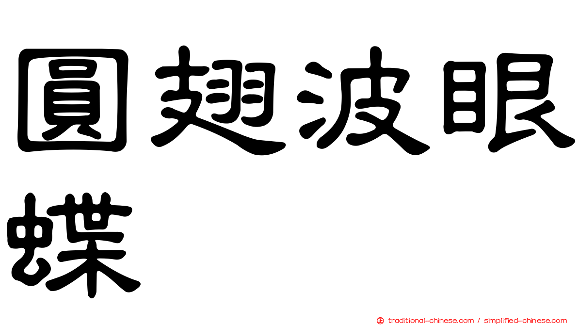 圓翅波眼蝶