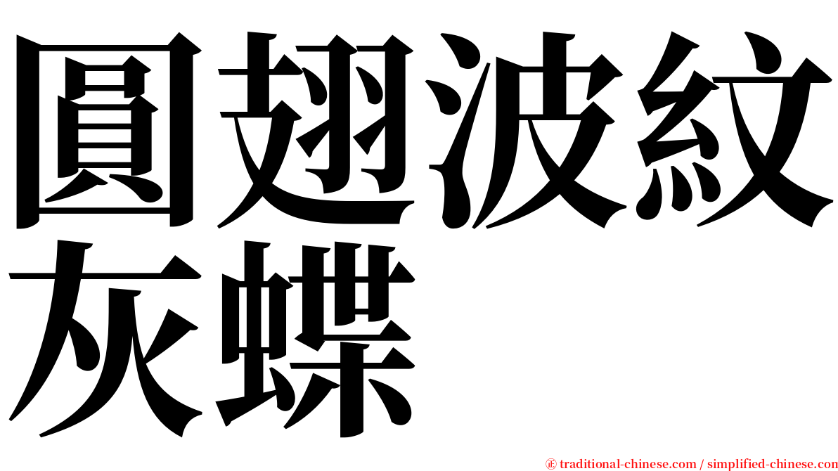 圓翅波紋灰蝶 serif font