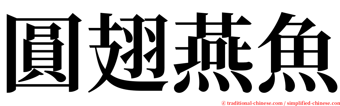 圓翅燕魚 serif font