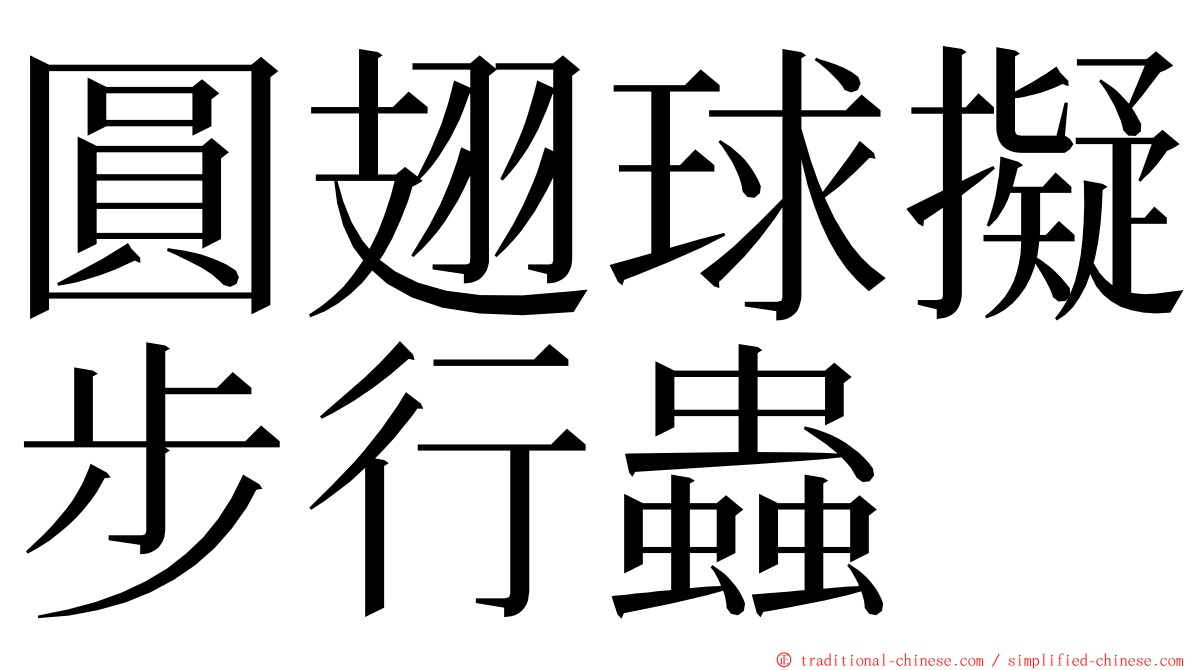 圓翅球擬步行蟲 ming font