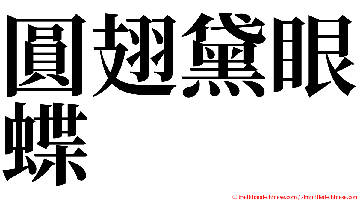 圓翅黛眼蝶 serif font