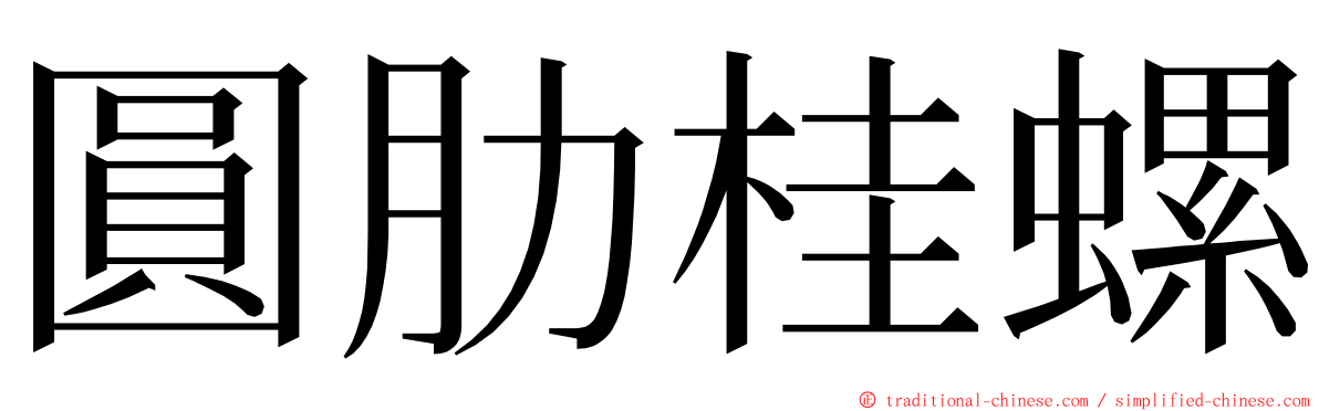 圓肋桂螺 ming font