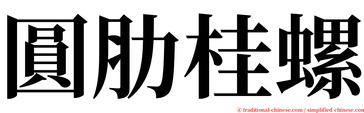 圓肋桂螺 serif font