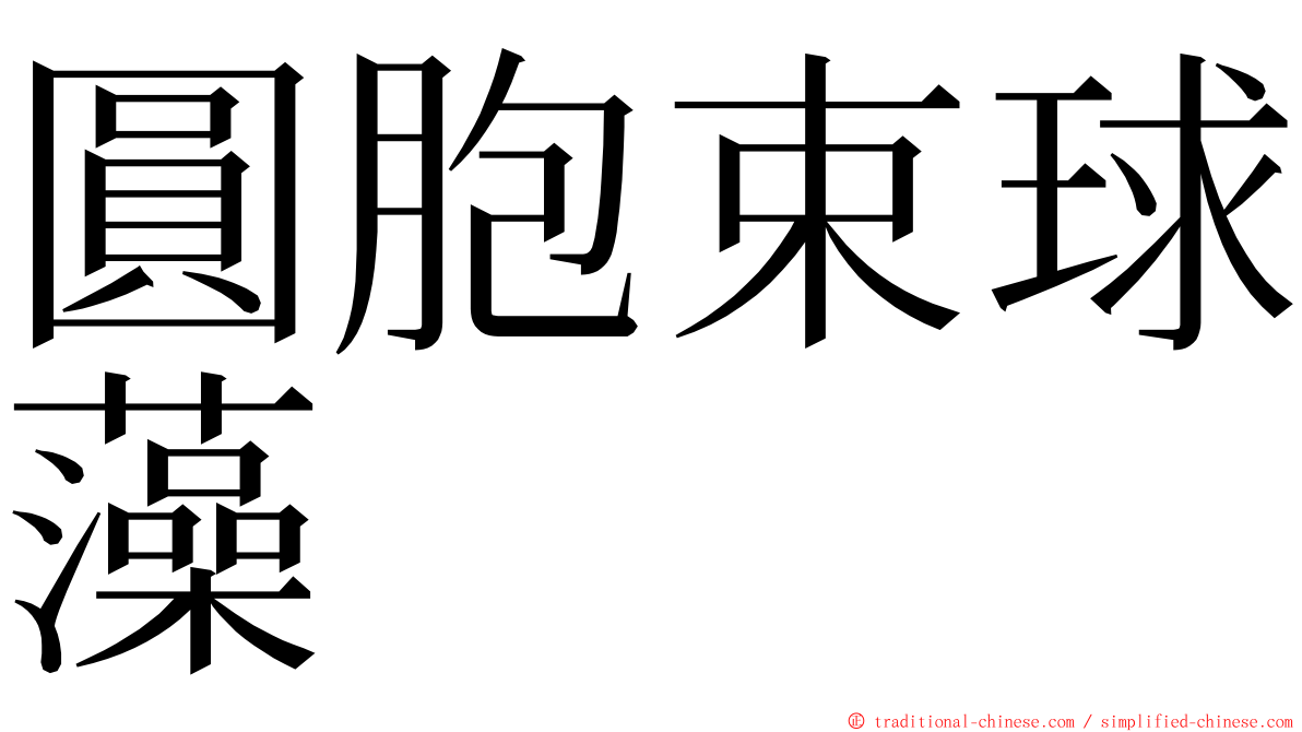 圓胞束球藻 ming font