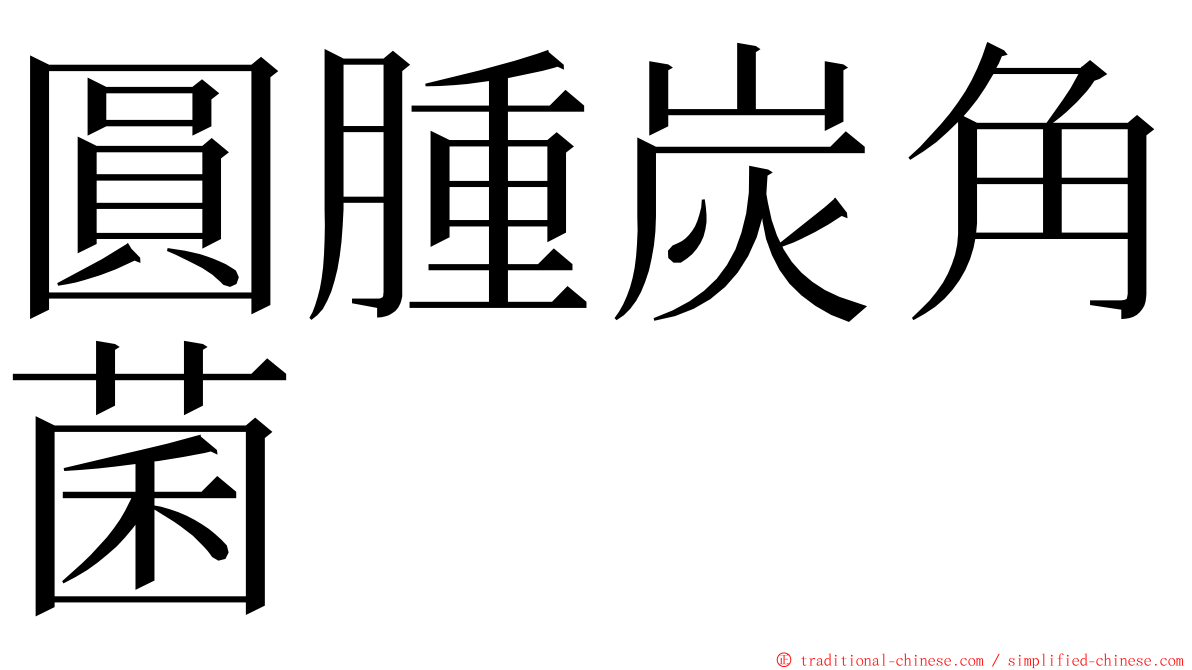 圓腫炭角菌 ming font