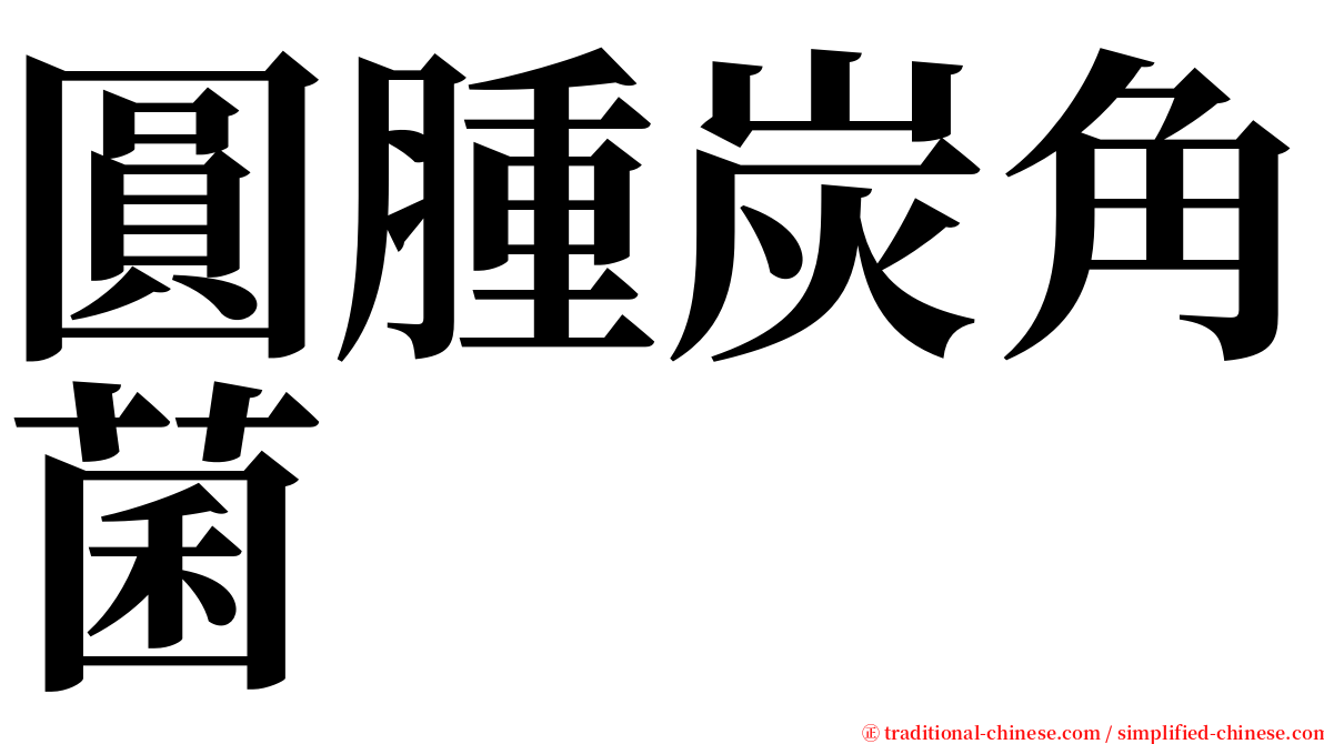 圓腫炭角菌 serif font