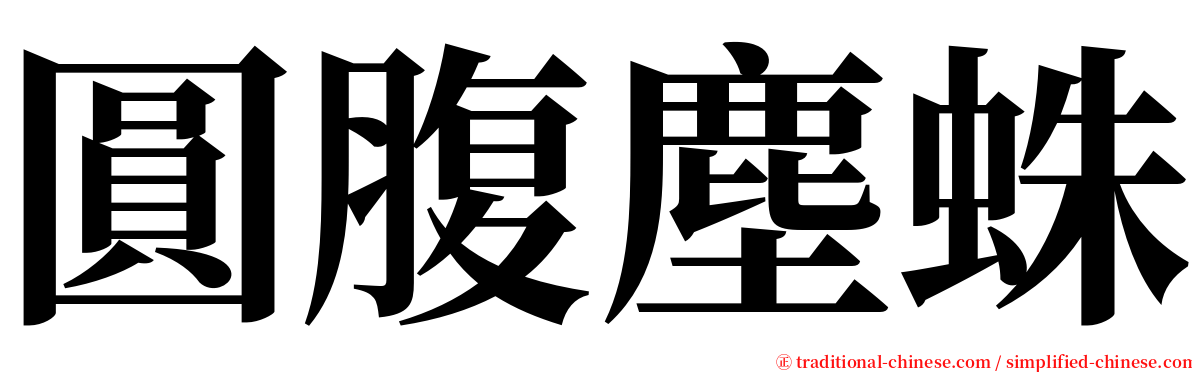 圓腹塵蛛 serif font