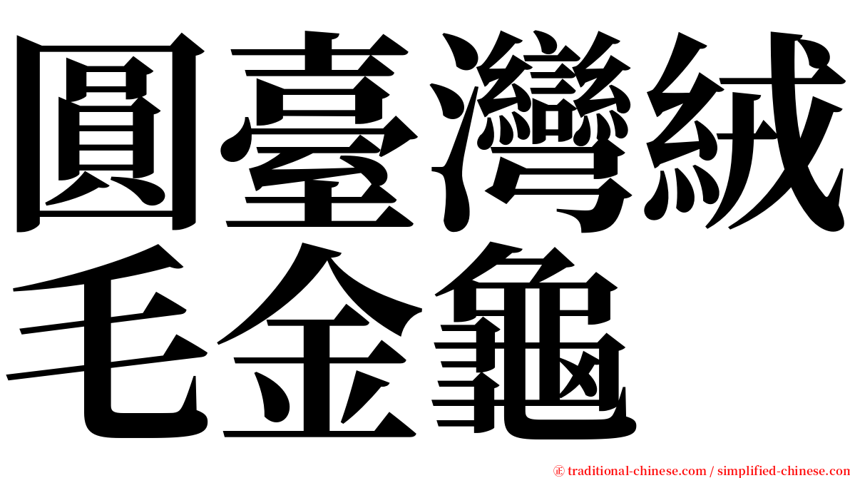 圓臺灣絨毛金龜 serif font