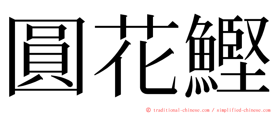 圓花鰹 ming font