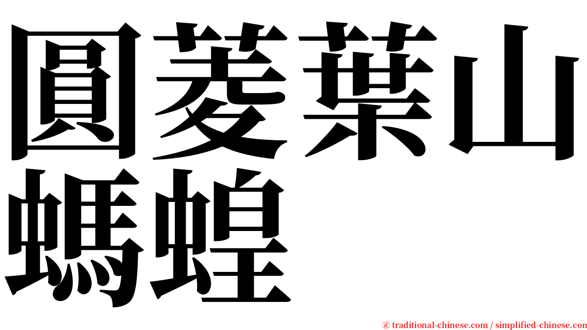 圓菱葉山螞蝗 serif font