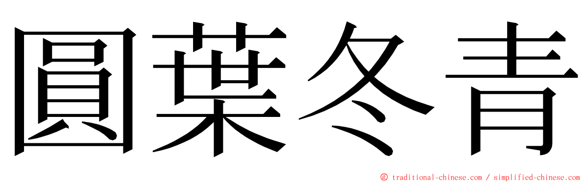 圓葉冬青 ming font